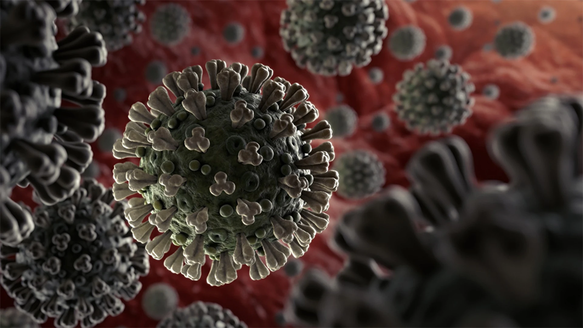 Synthego's CRISPR Platform Enables Faster Identification of Potential Coronavirus Treatment