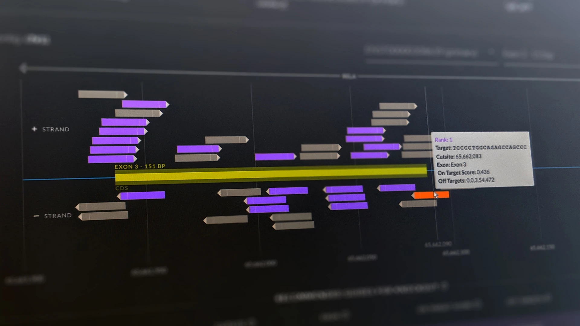 How to Design CRISPR Guide RNAs with the Synthego Design Tool