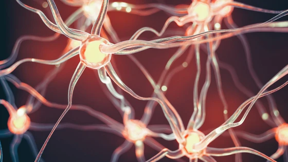 CRISPR Reveals a New Biomarker for Alzheimer’s Disease & More CRISPR News