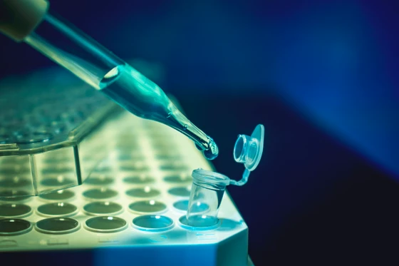 CRISPR Delivery Methods: Cargo, Vehicles, and Challenges