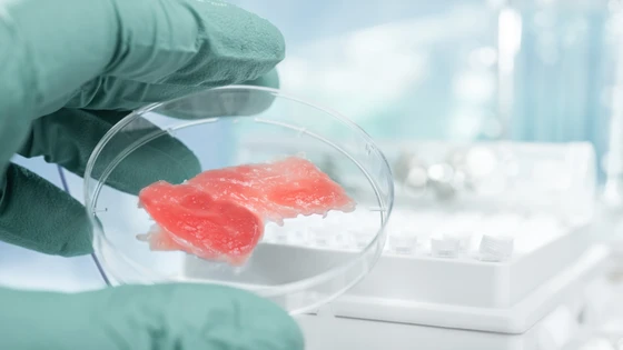 Lab-Grown Meats Will Change the Food Industry Forever