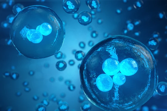 Using CRISPR & Genetic Barcodes to Track Cellular Development