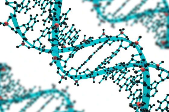The Essential Guide For Understanding What is Genome Editing: Techniques & Applications