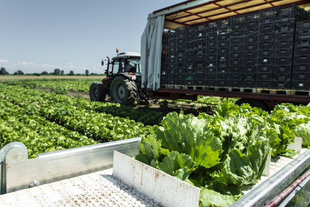 Why Is Foodborne Pathogen Detection So Difficult? And What's Finally Changing